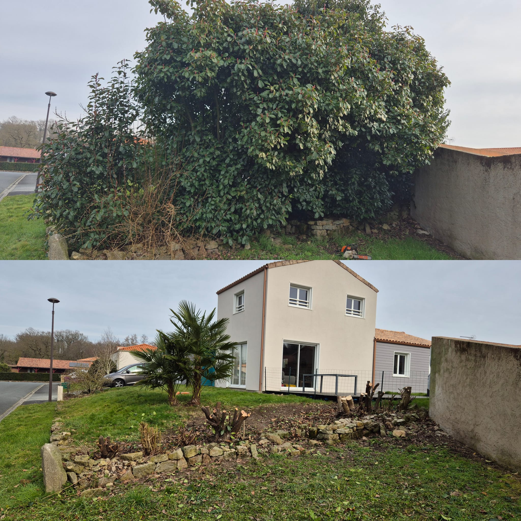 Réalisation élagage Klein Elagage - Photo 3