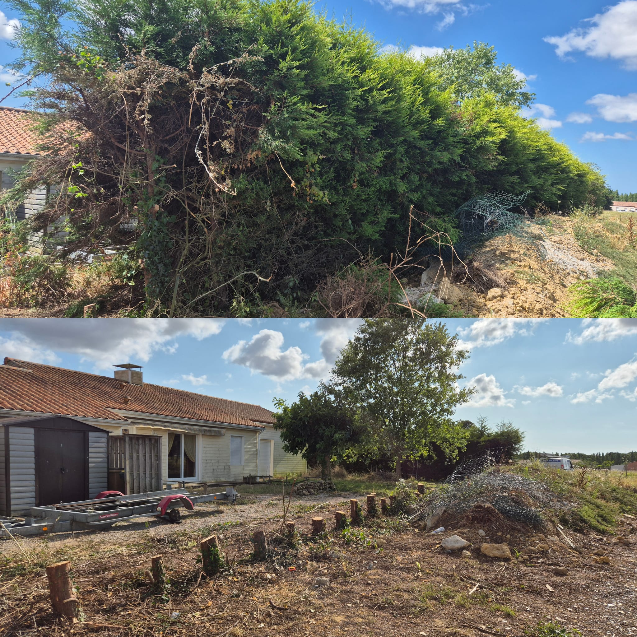 Réalisation élagage Klein Elagage - Photo 7