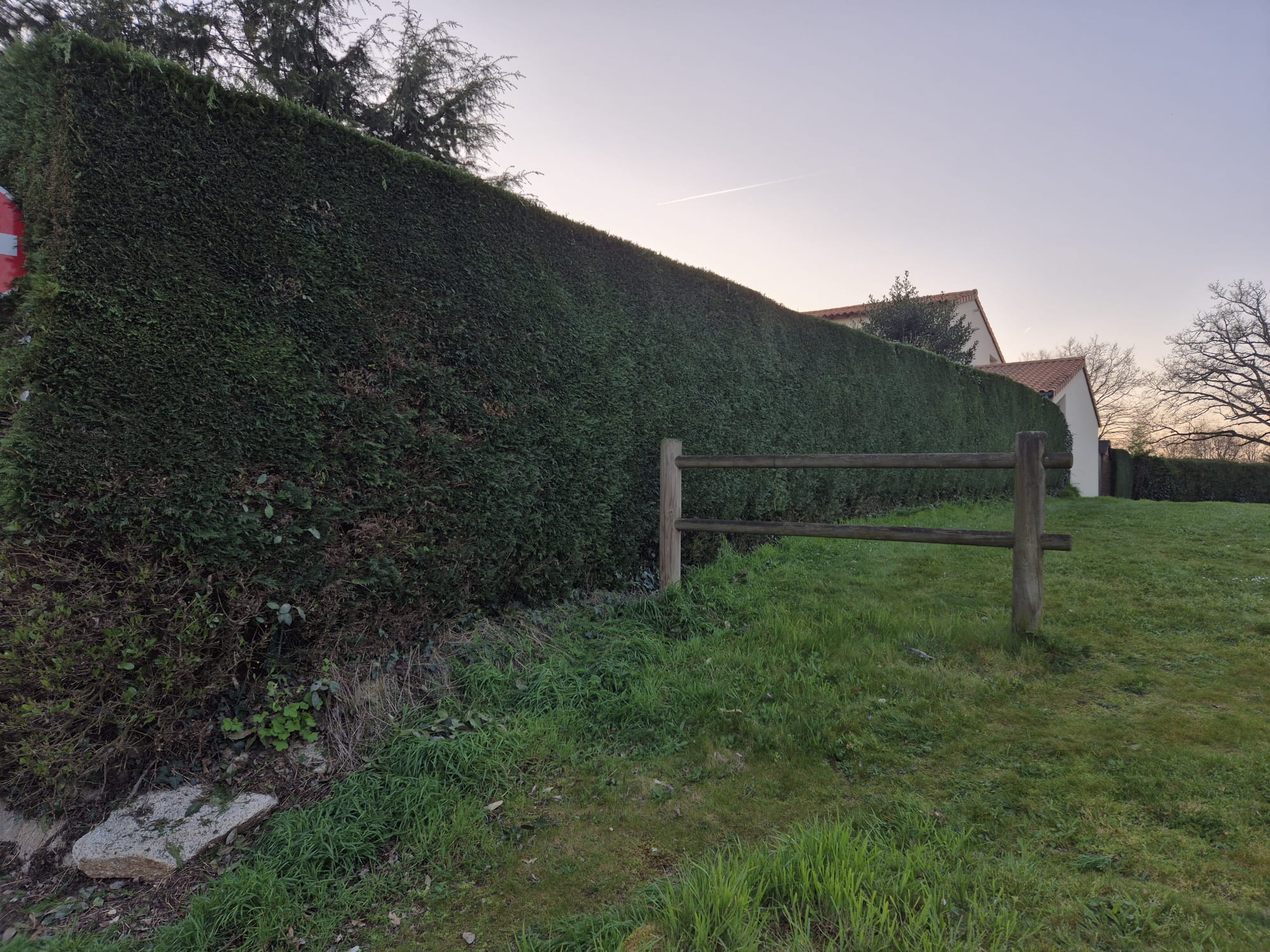 Réalisation élagage Klein Elagage - Photo 10
